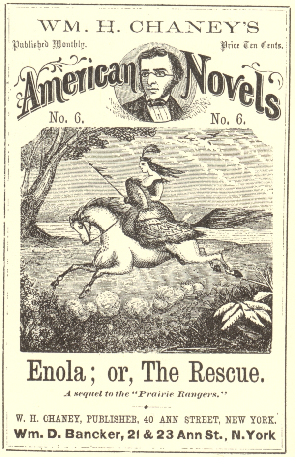 Figure 42.  Wm. H. Chaney's American Novels, No. 6